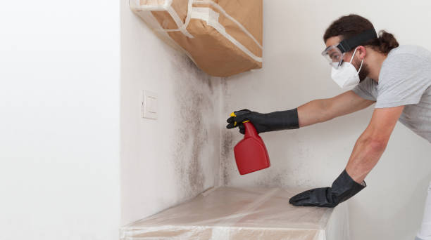 Professional Crawl Space Mold Removal technician working in Newton, MA