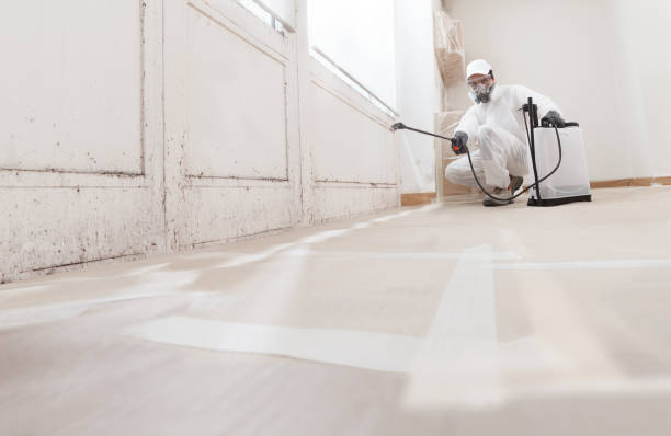 24/7 Emergency Crawl Space Mold Removal experts in Newton, MA